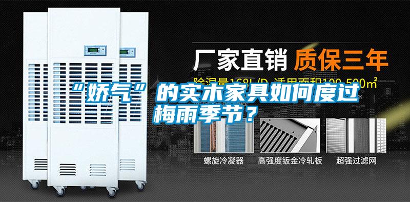 “嬌氣”的實木家具如何度過梅雨季節？