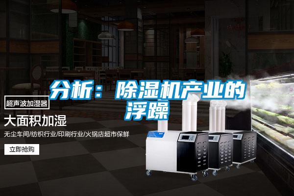 分析:除濕機產(chǎn)業(yè)的浮躁