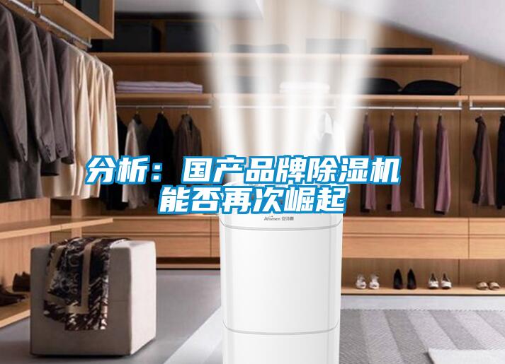 分析:國產(chǎn)品牌除濕機 能否再次崛起