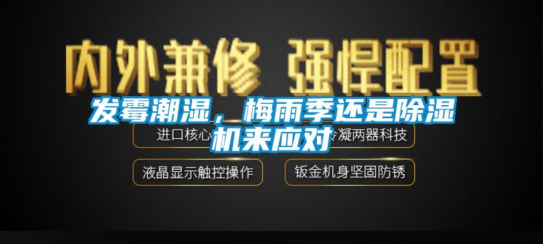 發(fā)霉潮濕，梅雨季還是除濕機(jī)來應(yīng)對(duì)