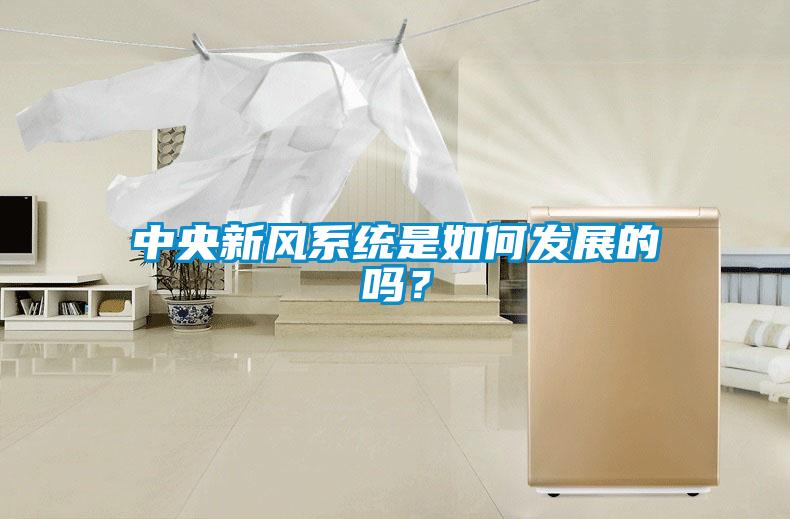 中央新風系統是如何發展的嗎？