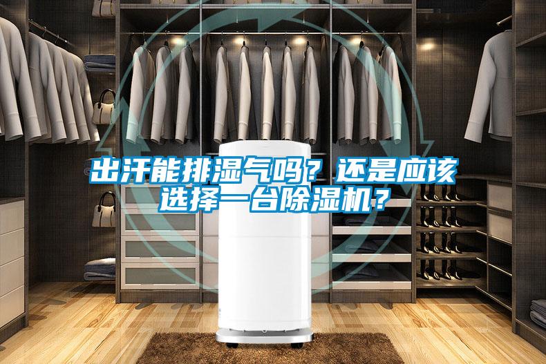 出汗能排濕氣嗎？還是應該選擇一臺除濕機？