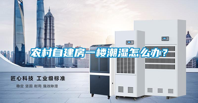 農(nóng)村自建房一樓潮濕怎么辦？