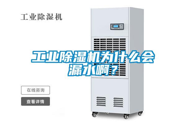工業(yè)除濕機為什么會漏水啊?
