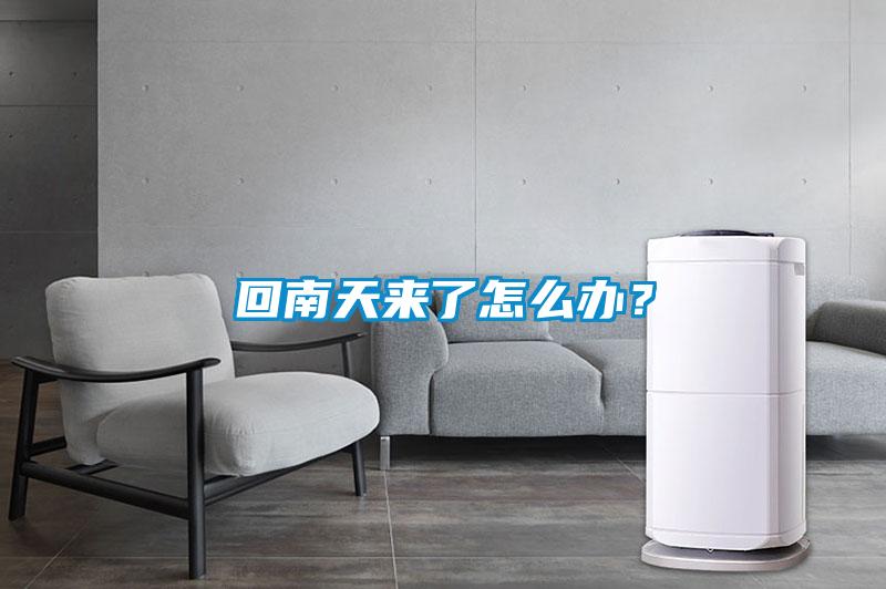 回南天來了怎么辦？