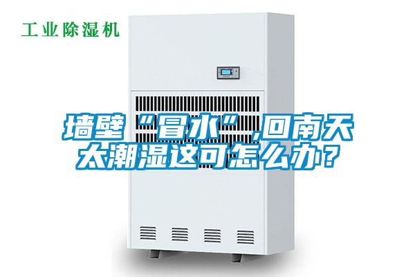 墻壁“冒水”,回南天太潮濕這可怎么辦？