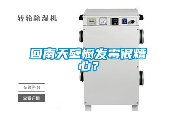 回南天壁櫥發霉很糟心？