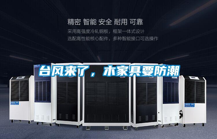 臺風來了，木家具要防潮