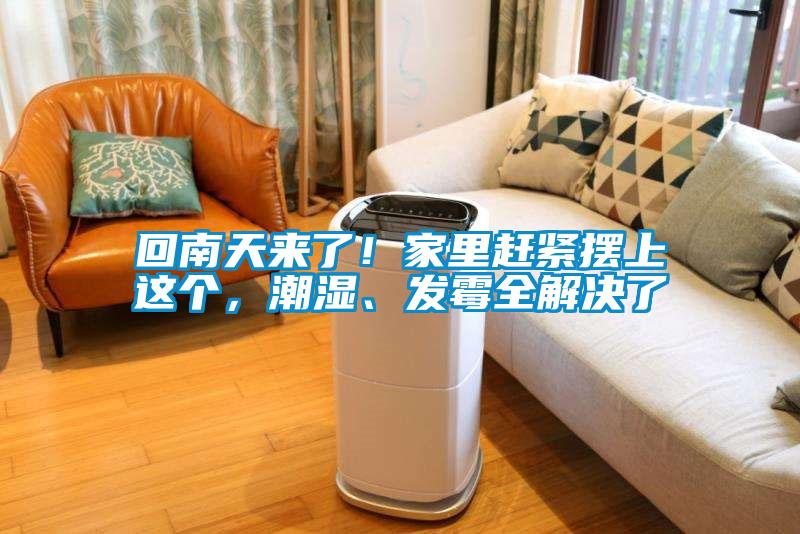 回南天來了!家里趕緊擺上這個,潮濕、發霉全解決了