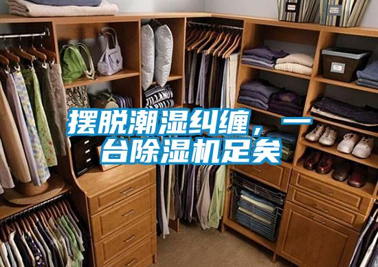 擺脫潮濕糾纏,一臺(tái)除濕機(jī)足矣