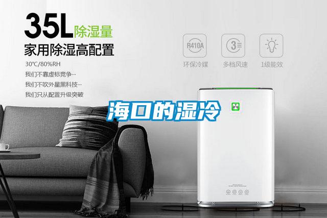 海口的濕冷