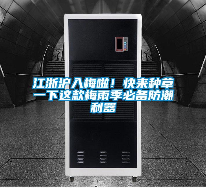 江浙滬入梅啦！快來種草一下這款梅雨季必備防潮利器