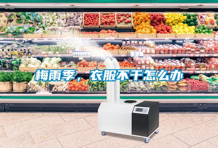 梅雨季,衣服不干怎么辦