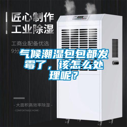 氣候潮濕包包都發霉了，該怎么處理呢？