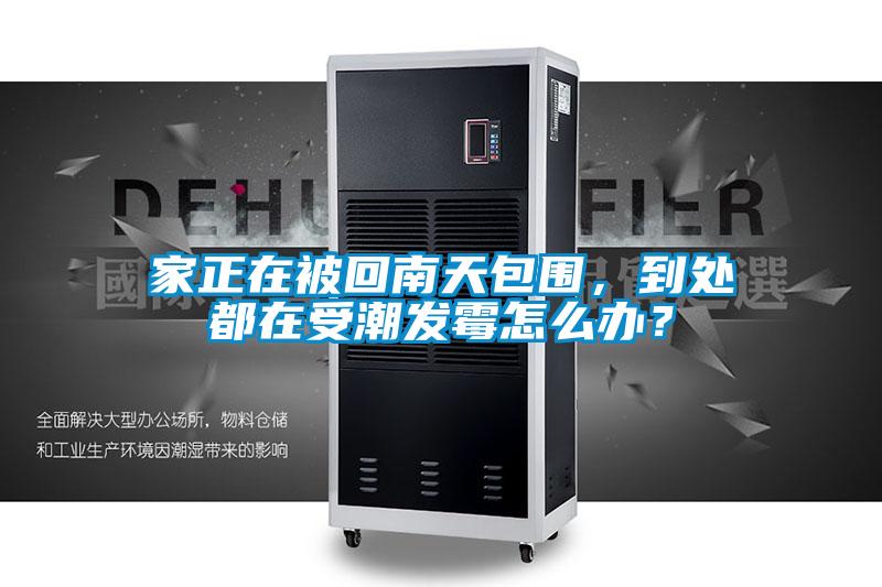 家正在被回南天包圍,到處都在受潮發霉怎么辦?