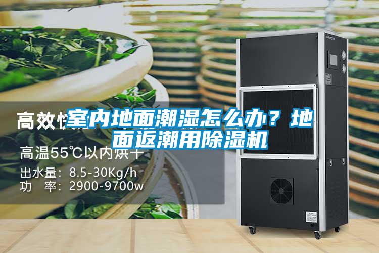 室內地面潮濕怎么辦?地面返潮用除濕機