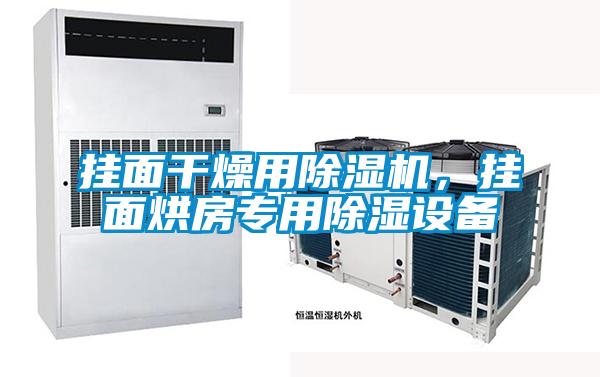 掛面干燥用除濕機,掛面烘房專用除濕設(shè)備