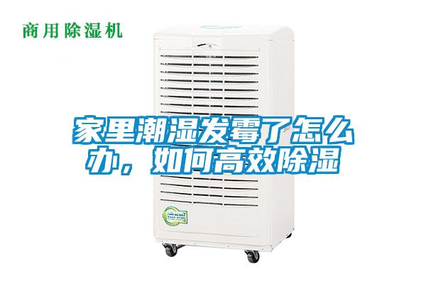 家里潮濕發霉了怎么辦，如何高效除濕