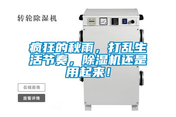 瘋狂的秋雨,打亂生活節奏,除濕機還是用起來!