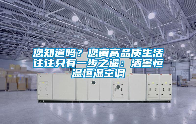 您知道嗎?您離高品質生活往往只有一步之遙:酒窖恒溫恒濕空調