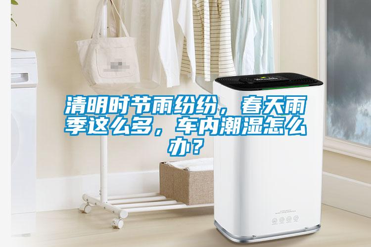 清明時(shí)節(jié)雨紛紛,春天雨季這么多,車內(nèi)潮濕怎么辦?