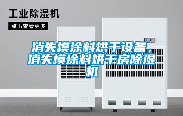 消失模涂料烘干設備,消失模涂料烘干房除濕機