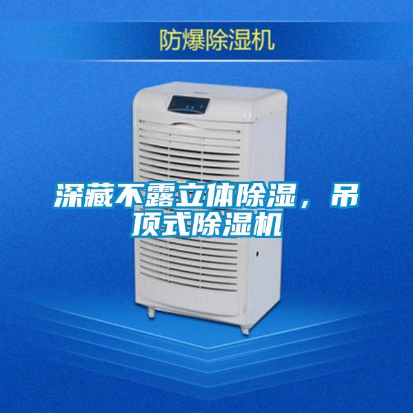 深藏不露立體除濕，吊頂式除濕機