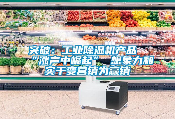 突破:工業(yè)除濕機(jī)產(chǎn)品“漲聲中崛起” 想象力和實(shí)干變營(yíng)銷為贏銷