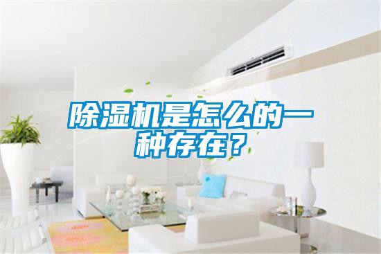 除濕機是怎么的一種存在？