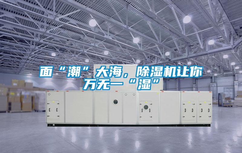 面“潮”大海，除濕機(jī)讓你萬無一“濕”