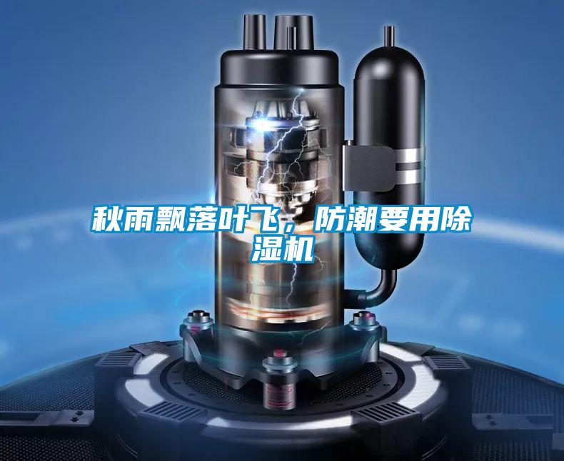 秋雨飄落葉飛,防潮要用除濕機