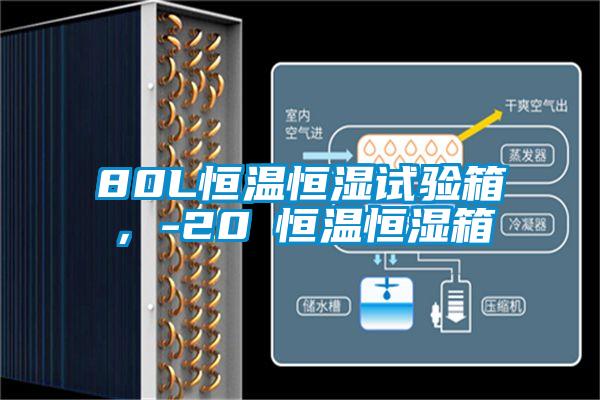 80L恒溫恒濕試驗(yàn)箱，-20℃恒溫恒濕箱