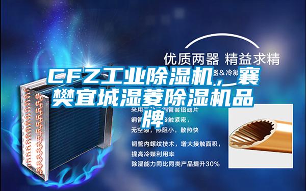 CFZ工業除濕機，襄樊宜城濕菱除濕機品牌