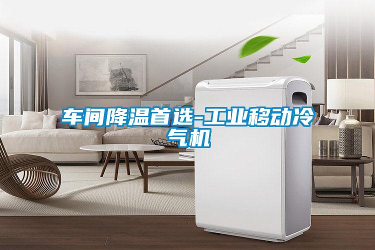 車(chē)間降溫首選-工業(yè)移動(dòng)冷氣機(jī)