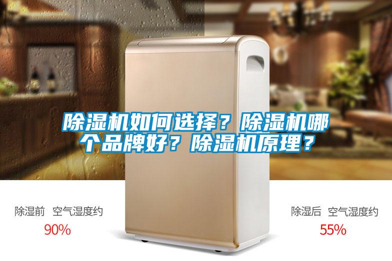 除濕機如何選擇？除濕機哪個品牌好？除濕機原理？