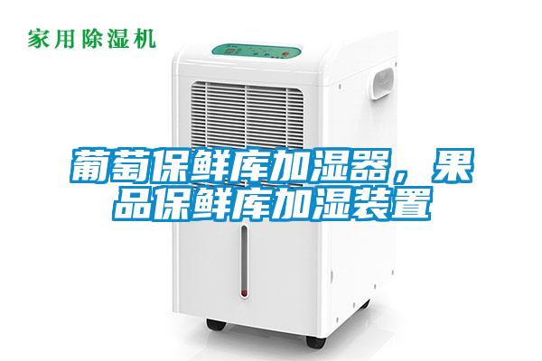 葡萄保鮮庫加濕器,果品保鮮庫加濕裝置