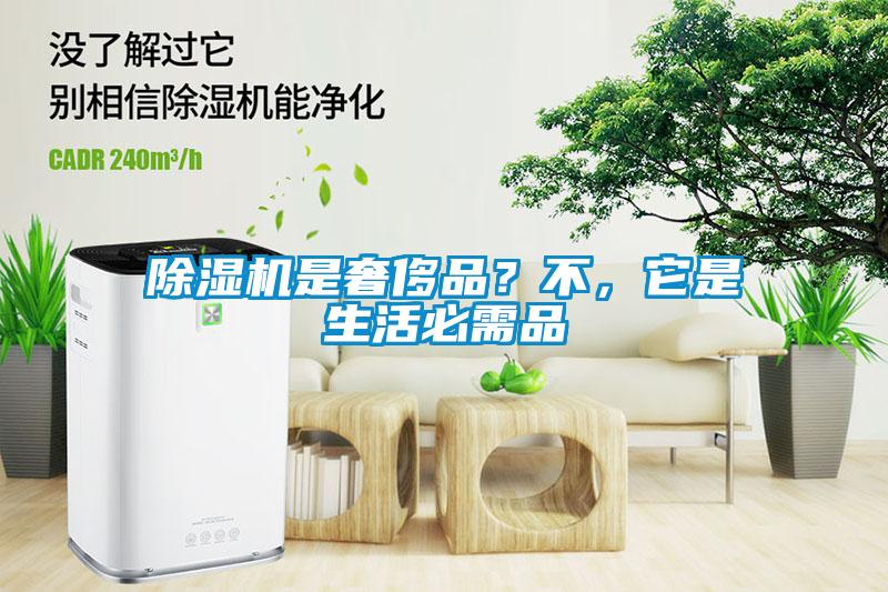 除濕機是奢侈品？不，它是生活必需品