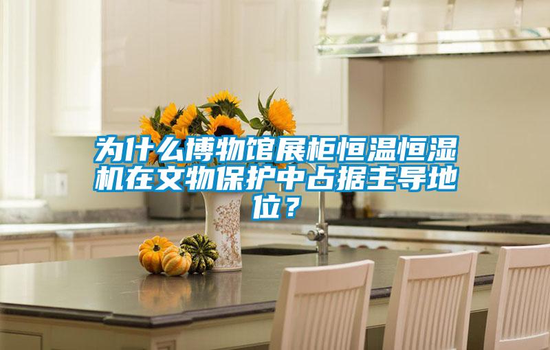 為什么博物館展柜恒溫恒濕機在文物保護中占據(jù)主導地位？