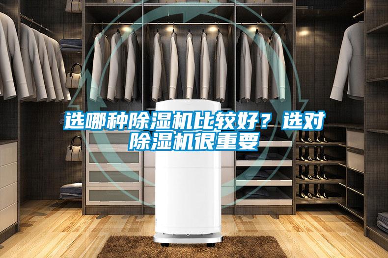 選哪種除濕機比較好？選對除濕機很重要
