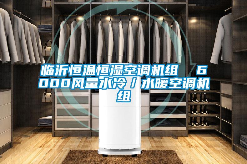 臨沂恒溫恒濕空調機組  6000風量水冷／水暖空調機組