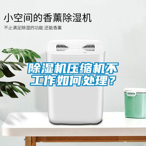 除濕機壓縮機不工作如何處理?