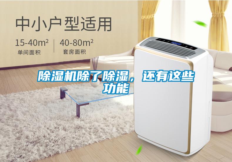 除濕機(jī)除了除濕,還有這些功能