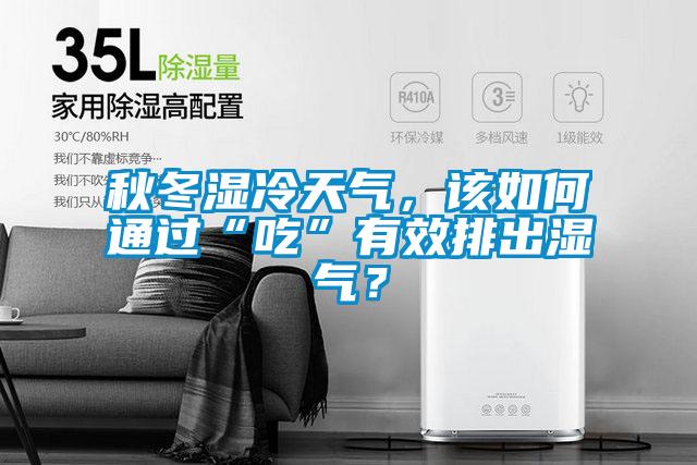 秋冬濕冷天氣，該如何通過“吃”有效排出濕氣？