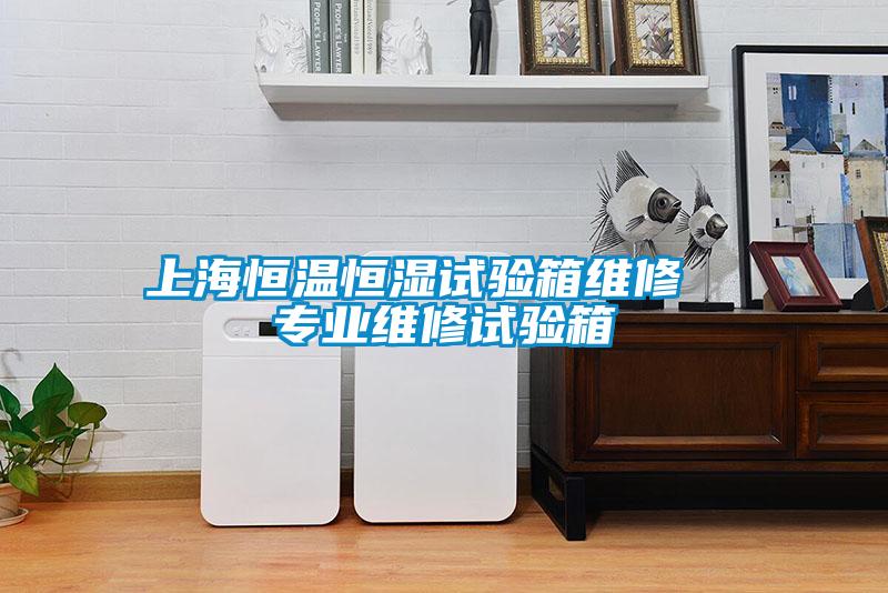 上海恒溫恒濕試驗(yàn)箱維修 專(zhuān)業(yè)維修試驗(yàn)箱