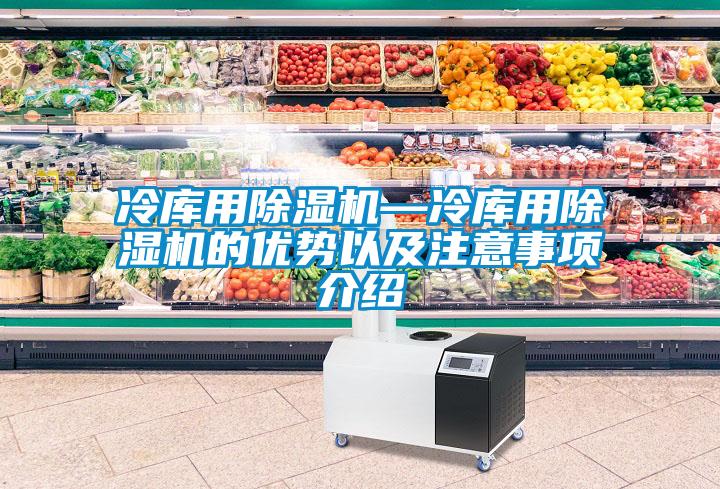 冷庫用除濕機(jī)—冷庫用除濕機(jī)的優(yōu)勢以及注意事項(xiàng)介紹