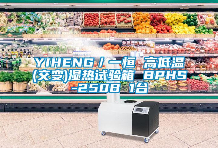 YIHENG/一恒 高低溫(交變)濕熱試驗(yàn)箱 BPHS-250B 1臺