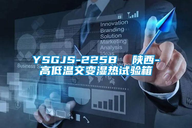 YSGJS-225B 陜西-高低溫交變濕熱試驗箱