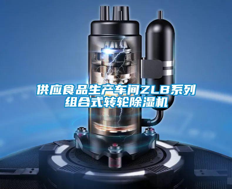 供應(yīng)食品生產(chǎn)車(chē)間ZLB系列組合式轉(zhuǎn)輪除濕機(jī)