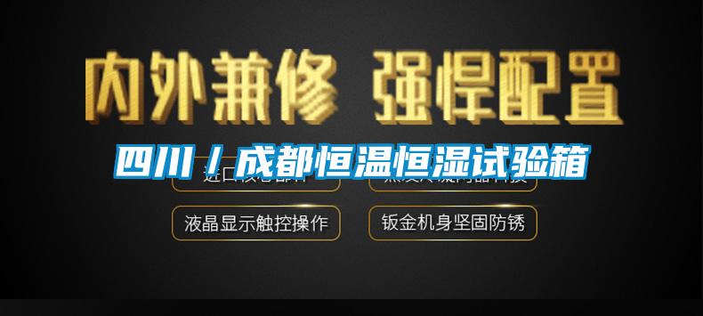 四川/成都恒溫恒濕試驗箱