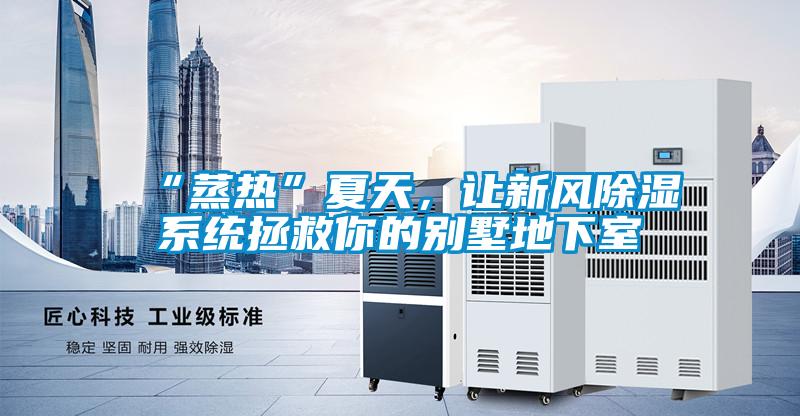 “蒸熱”夏天，讓新風除濕系統拯救你的別墅地下室